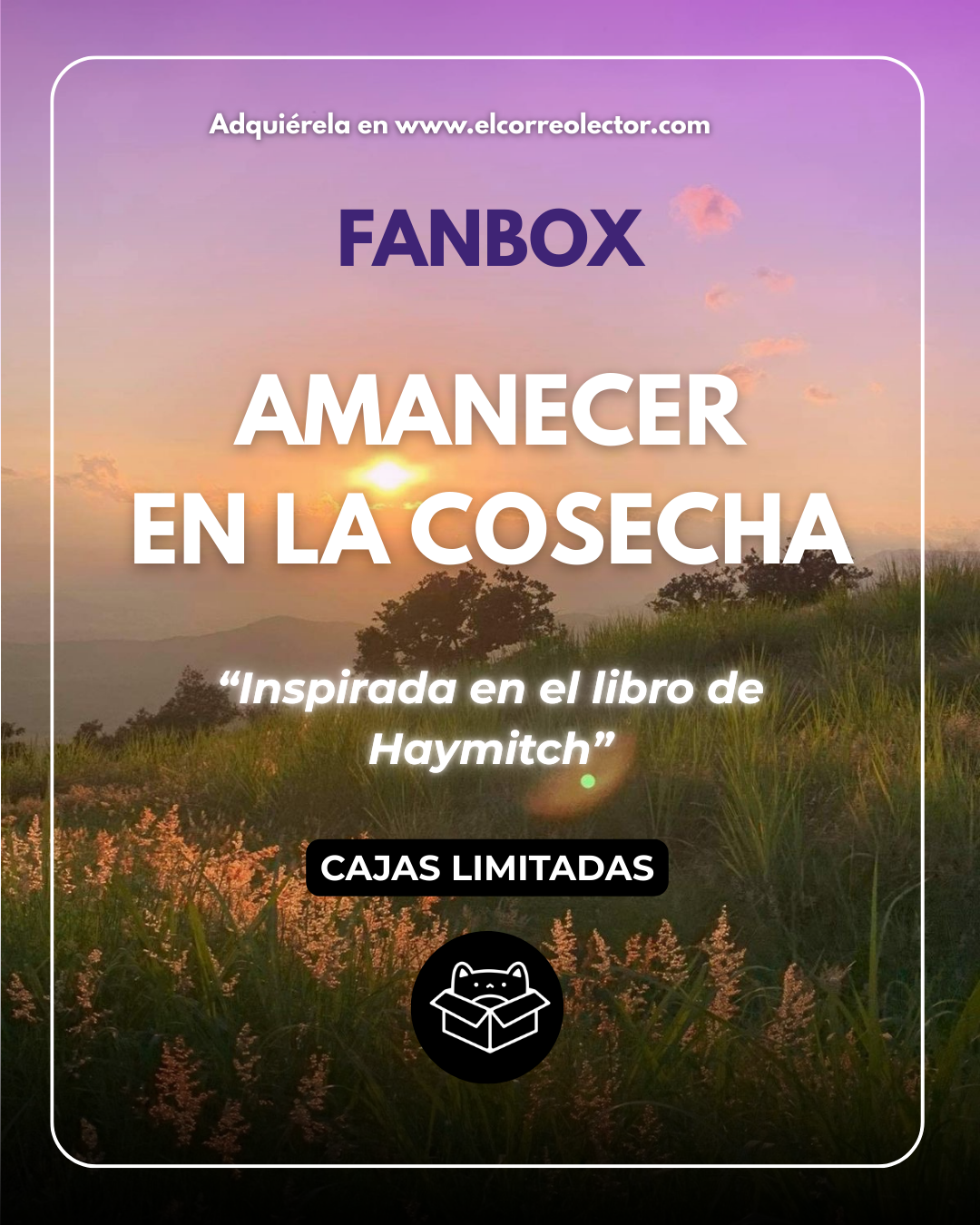 FANBOX • Amanecer en la cosecha